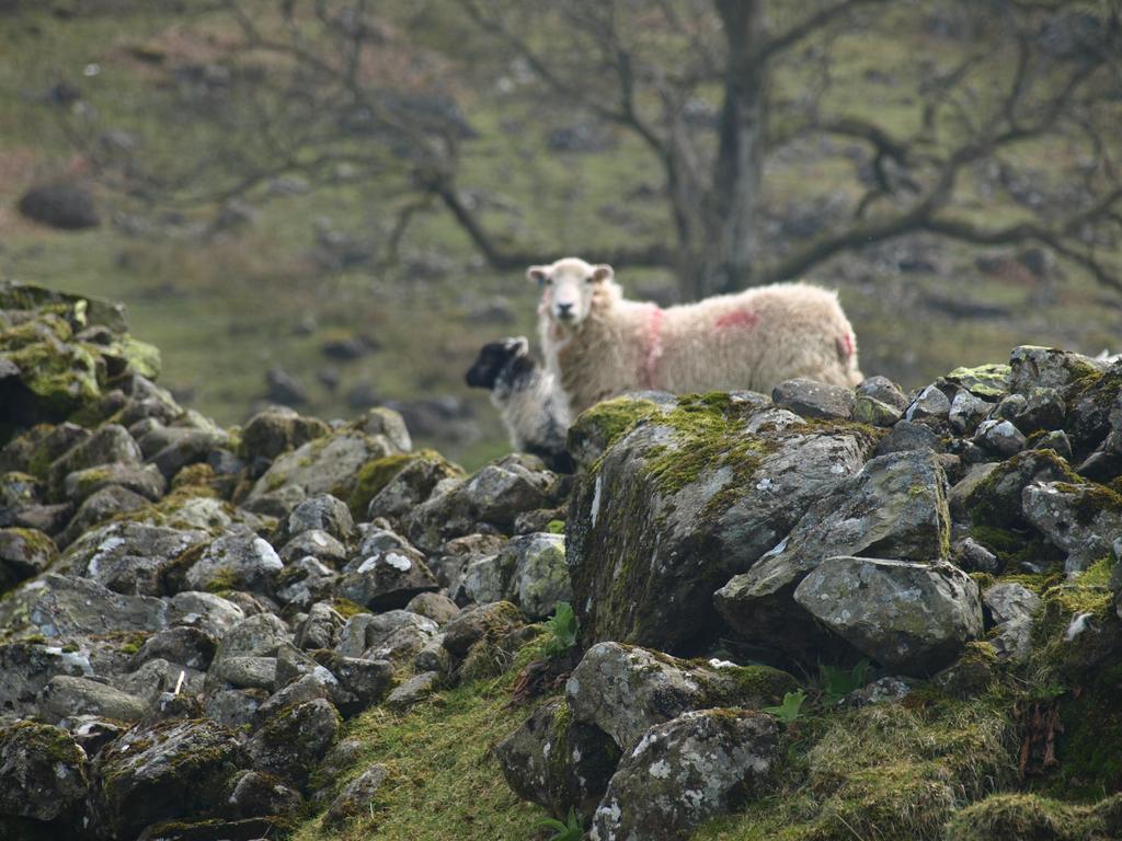 Barn-Gill House Bed & Breakfast Thirlmere Eksteriør bilde